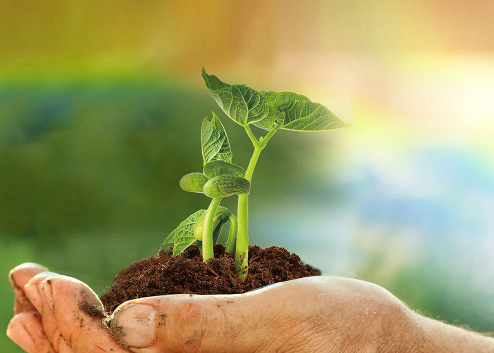 ½ñÄê»á¡¤(Öйú´ó½)ÈÏÖ¤´ÈÉÆ»ú¹¹