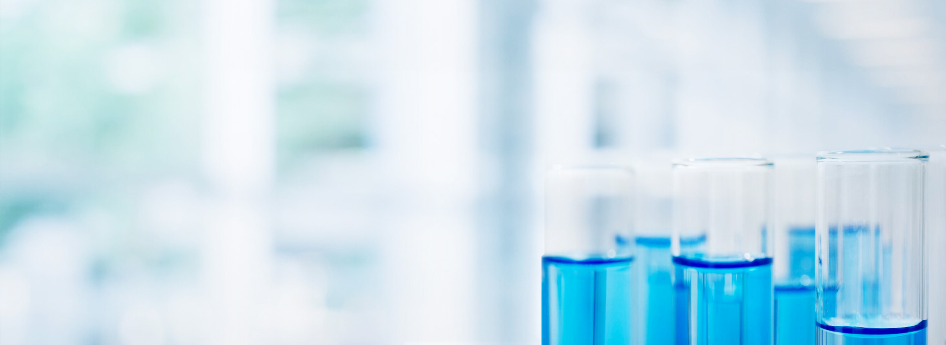 ½ñÄê»á¡¤(Öйú´ó½)ÈÏÖ¤´ÈÉÆ»ú¹¹