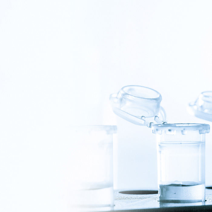 ½ñÄê»á¡¤(Öйú´ó½)ÈÏÖ¤´ÈÉÆ»ú¹¹