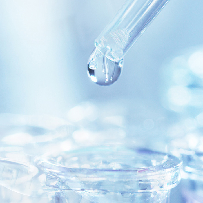 ½ñÄê»á¡¤(Öйú´ó½)ÈÏÖ¤´ÈÉÆ»ú¹¹