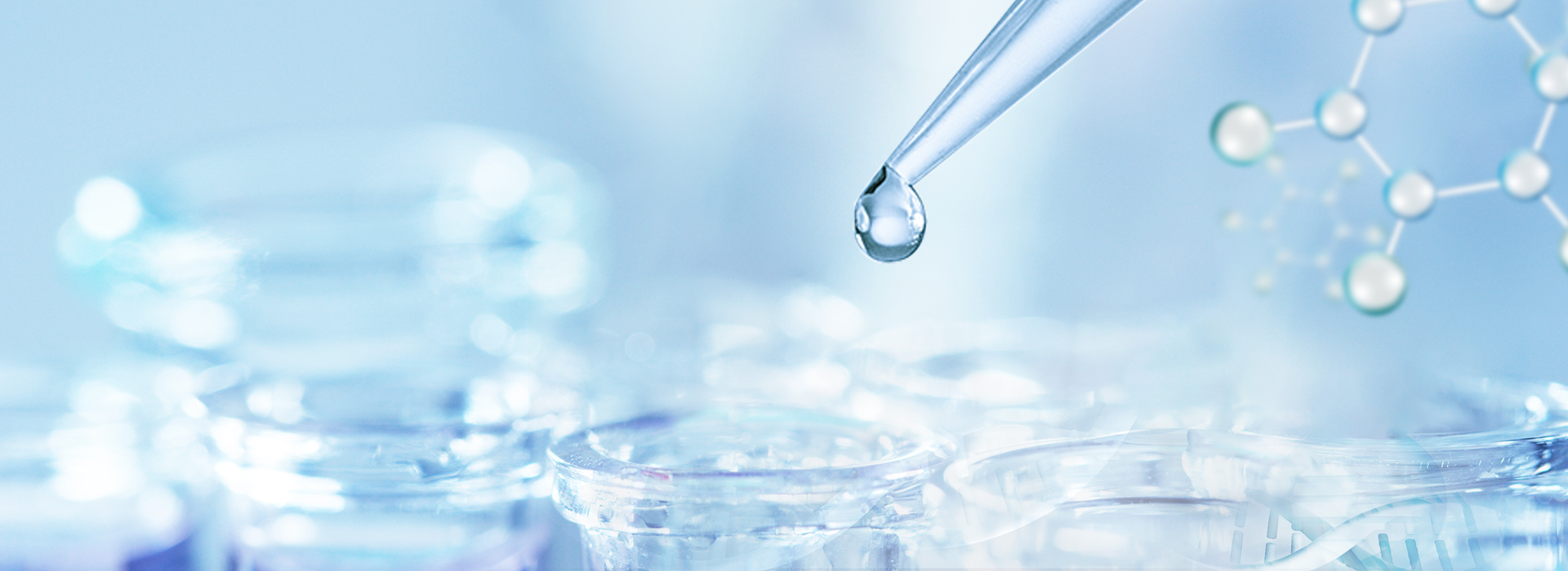 ½ñÄê»á¡¤(Öйú´ó½)ÈÏÖ¤´ÈÉÆ»ú¹¹