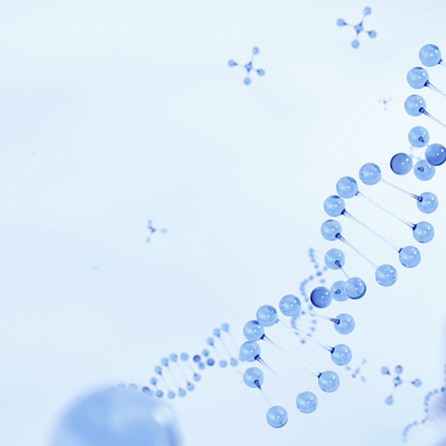 ½ñÄê»á¡¤(Öйú´ó½)ÈÏÖ¤´ÈÉÆ»ú¹¹